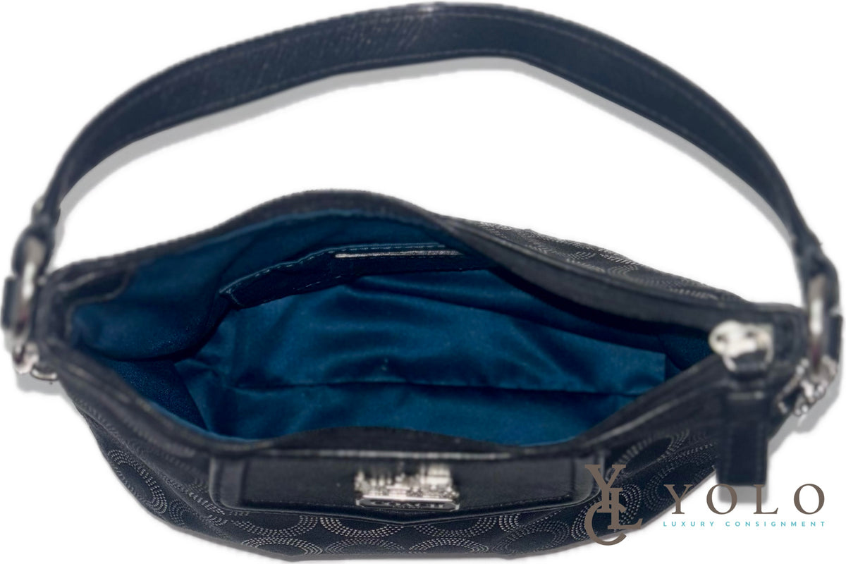 Teal Vintage Coach Bag | TikTok COACH Madison Blue Hobo 
