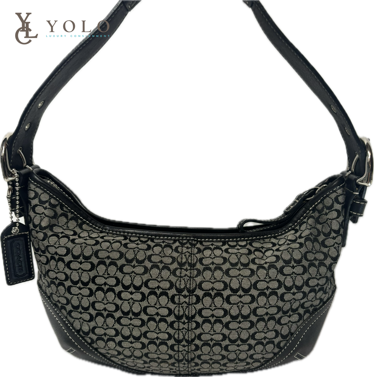 Coach_Signature_Small_Hobo_Bag