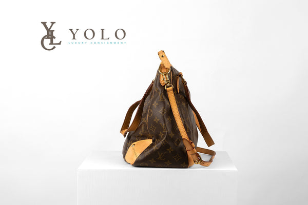 Louis Vuitton Monogram Estrela MM Bag