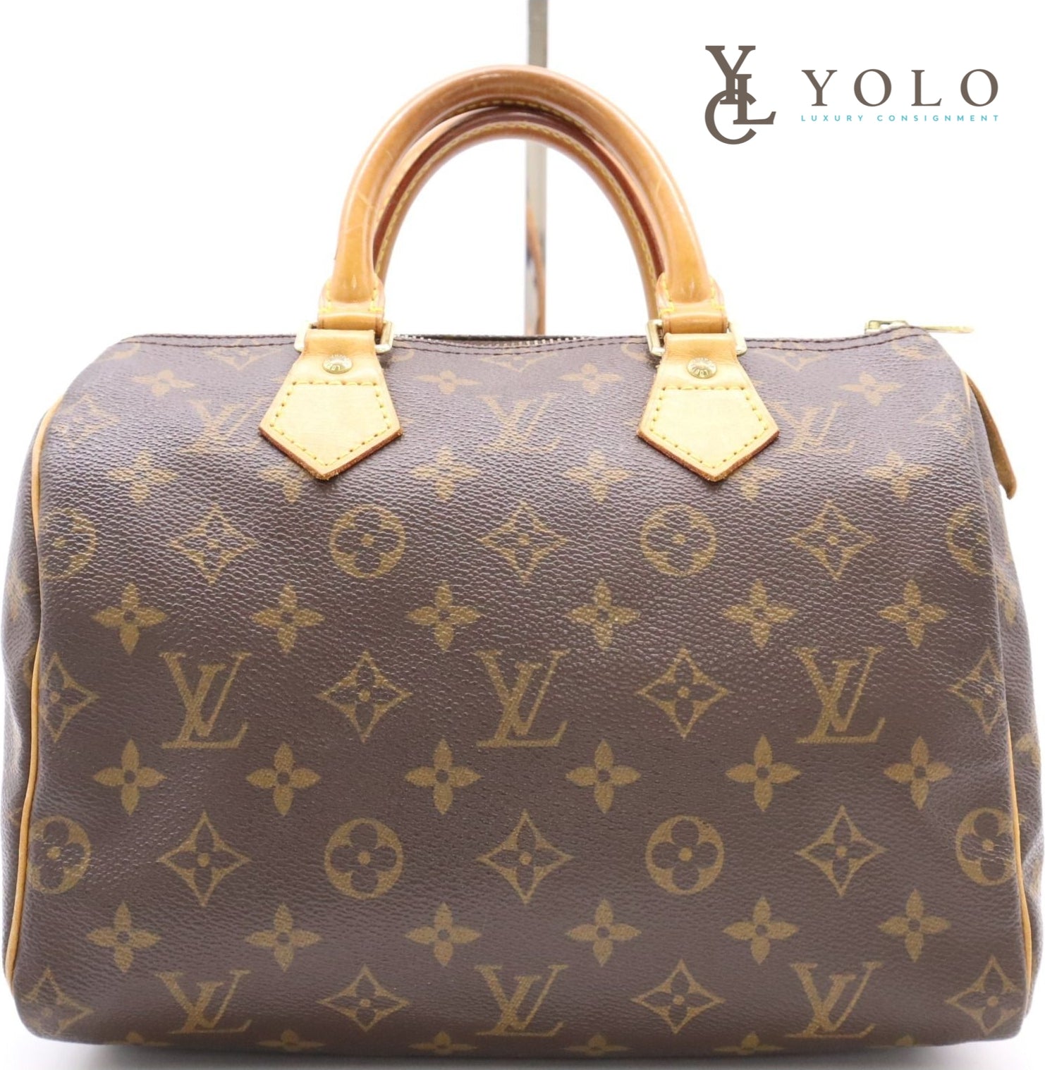 Louis Vuitton Monogram Speedy 25 Bag