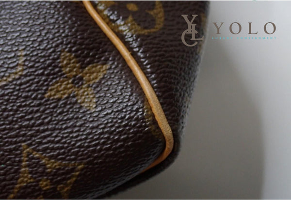 Louis Vuitton Monogram Speedy 25 Bag