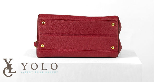 Louis Vuitton Rubis Leather and Monogram Double V Bag