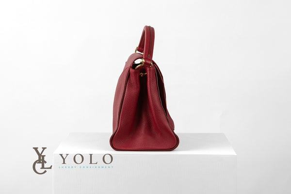 Louis Vuitton Rubis Leather and Monogram Double V Bag