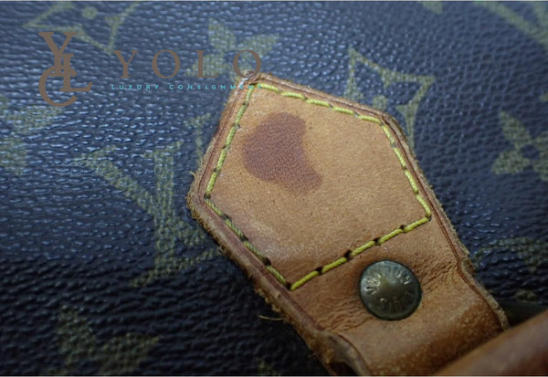 Louis Vuitton Speedy 30 Monogram Bag