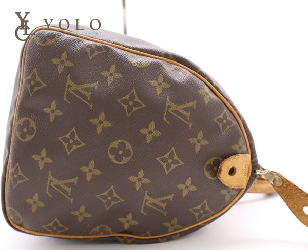 Louis Vuitton Speedy 30 Monogram Bag