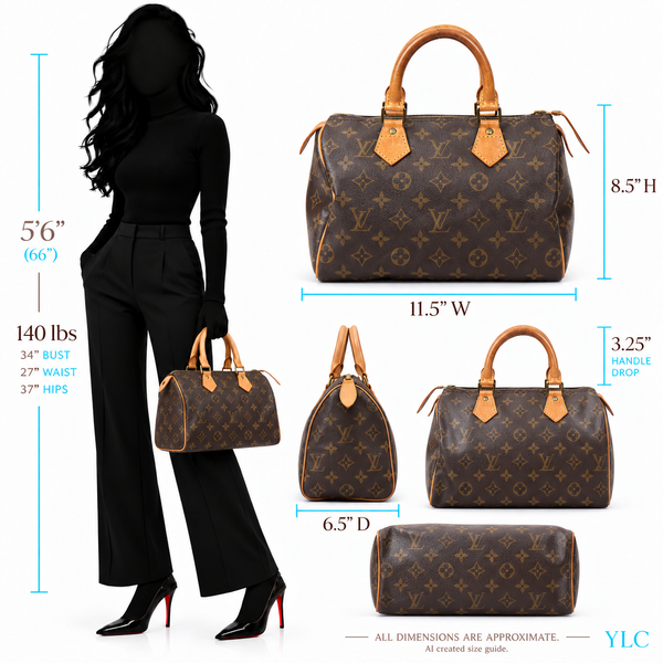 Louis Vuitton Monogram Speedy 30 Bag