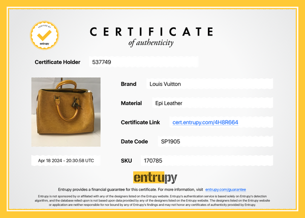 Louis Vuitton Epi Yellow Leather Speedy 25 Bag
