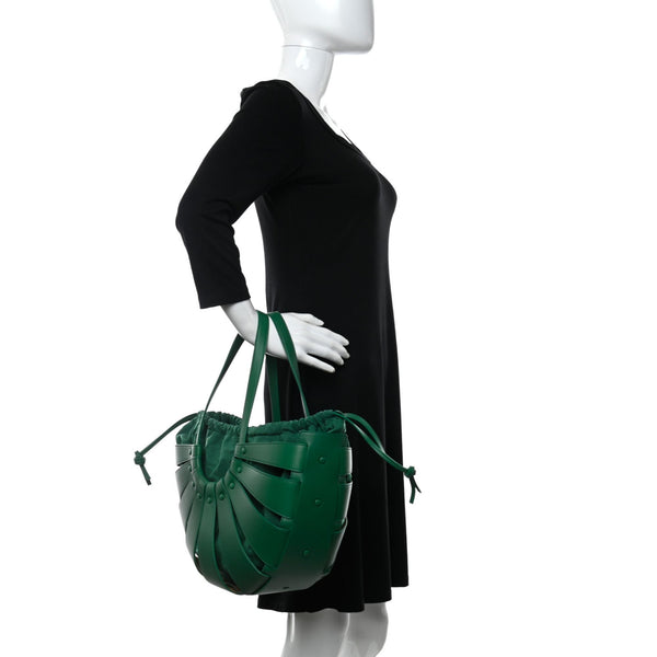 Bottega Veneta The Shell Bag Racing Green French Calfskin Shoulder Bag in Racing Green, authentic new handbag, image 8