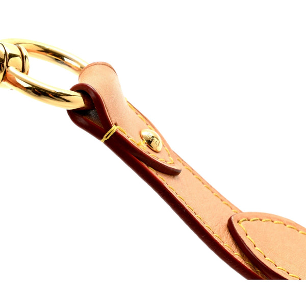 Stitched Vachetta leather attachment and gold-tone hardware on the Louis Vuitton shoulder strap